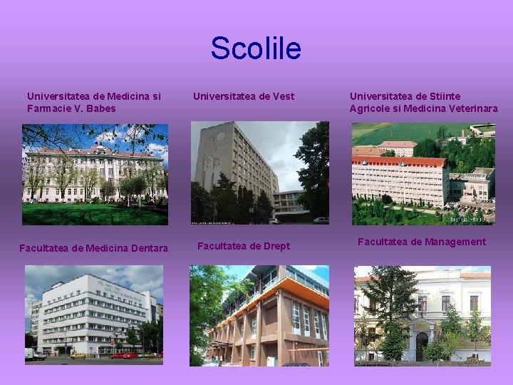 Scolile Universitatea de Medicina si Farmacie V. Babes Universitatea de Vest Universitatea de Stiinte