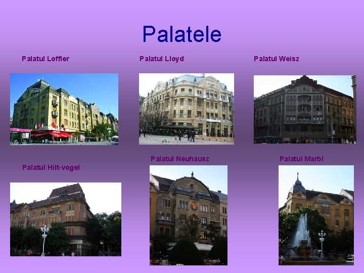 Palatele Palatul Loffler Palatul Lloyd Palatul Neuhausz Palatul Hilt-vogel Palatul Weisz Palatul Marbl 