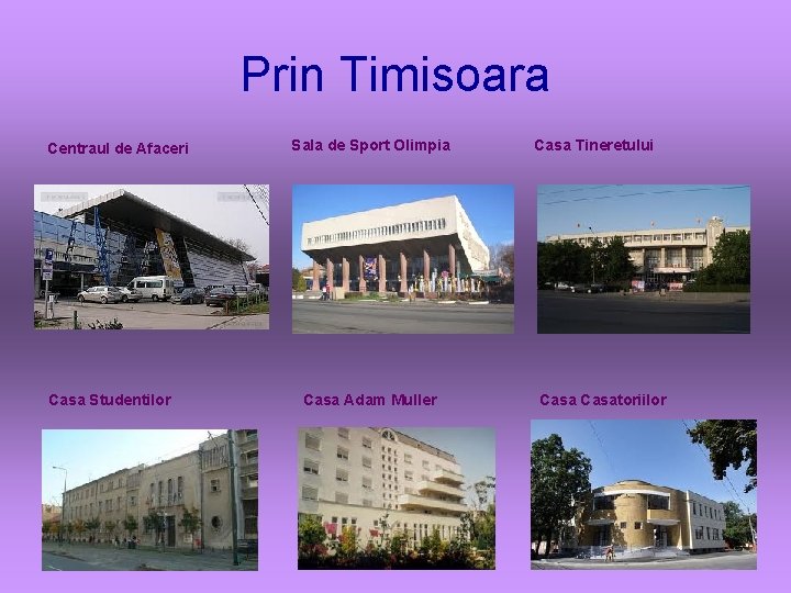 Prin Timisoara Centraul de Afaceri Casa Studentilor Sala de Sport Olimpia Casa Adam Muller