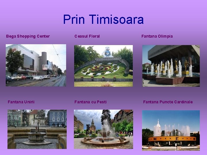 Prin Timisoara Bega Shopping Center Fantana Unirii Ceasul Floral Fantana cu Pesti Fantana Olimpia