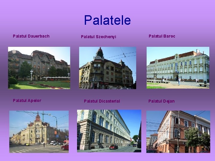 Palatele Palatul Dauerbach Palatul Apelor Palatul Szechenyi Palatul Dicasterial Palatul Baroc Palatul Dejan 