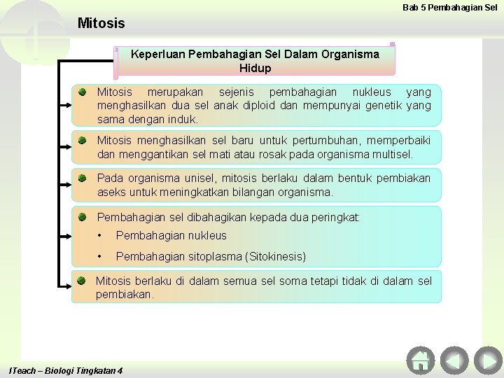 Bab 5 Pembahagian Sel Mitosis Keperluan Pembahagian Sel Dalam Organisma Hidup Mitosis merupakan sejenis