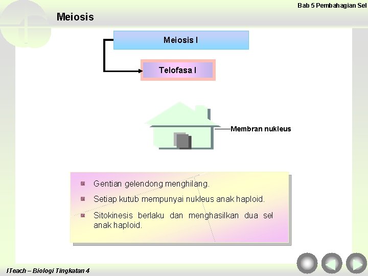 Bab 5 Pembahagian Sel Meiosis I Telofasa I Membran nukleus Gentian gelendong menghilang. Setiap