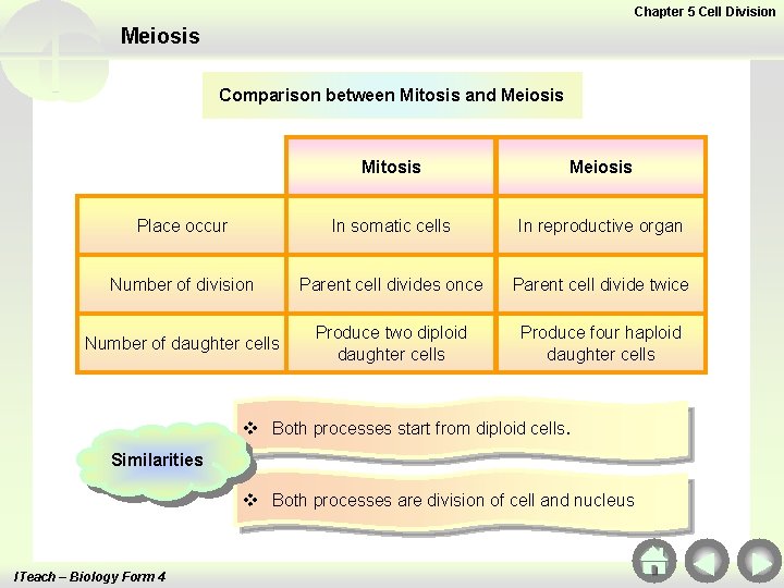 Chapter 5 Cell Division Meiosis Comparison between Mitosis and Meiosis Mitosis Meiosis Place occur