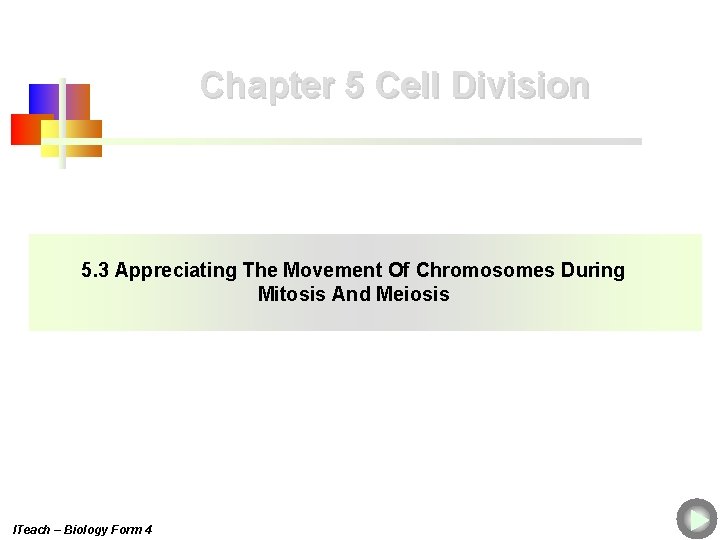 Chapter 5 Cell Division 5. 3 Appreciating The Movement Of Chromosomes During Mitosis And