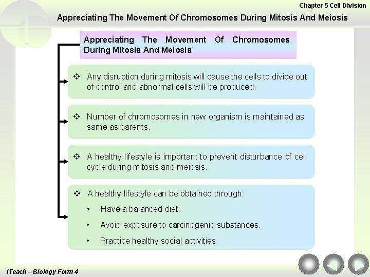 Chapter 5 Cell Division Appreciating The Movement Of Chromosomes During Mitosis And Meiosis Appreciating
