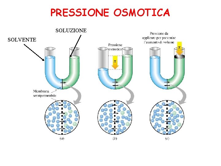 PRESSIONE OSMOTICA SOLUZIONE SOLVENTE 