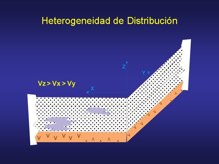 Heterogeneidad de Distribución 