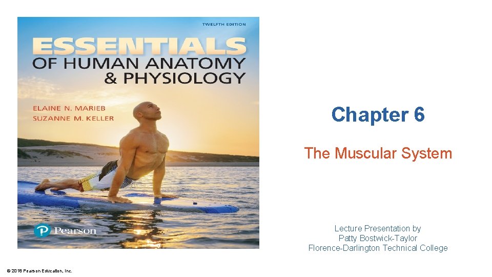 Chapter 6 The Muscular System Lecture Presentation by Patty Bostwick-Taylor Florence-Darlington Technical College ©