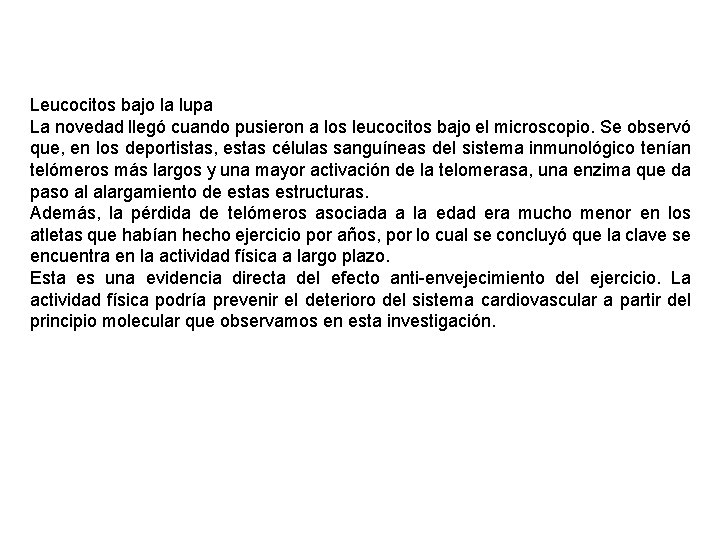 Leucocitos bajo la lupa La novedad llegó cuando pusieron a los leucocitos bajo el