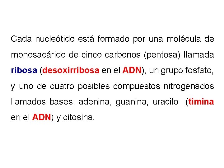 Cada nucleótido está formado por una molécula de monosacárido de cinco carbonos (pentosa) llamada