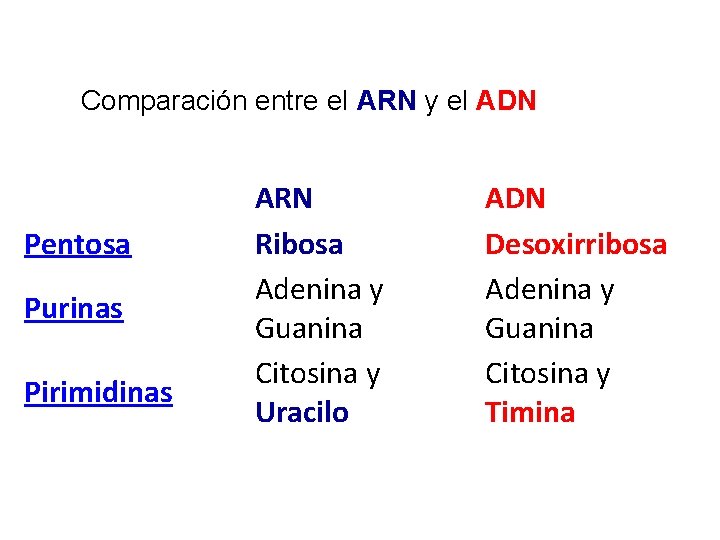 Comparación entre el ARN y el ADN Pentosa Purinas Pirimidinas ARN Ribosa Adenina y