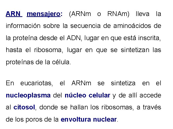 ARN mensajero: (ARNm o RNAm) lleva la información sobre la secuencia de aminoácidos de