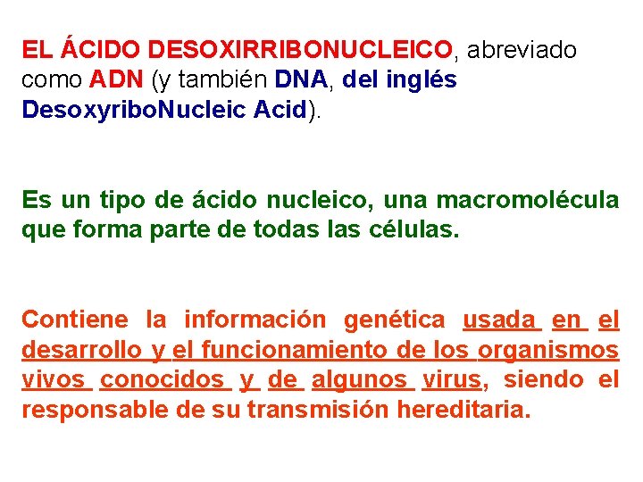 EL ÁCIDO DESOXIRRIBONUCLEICO, abreviado como ADN (y también DNA, del inglés Desoxyribo. Nucleic Acid).