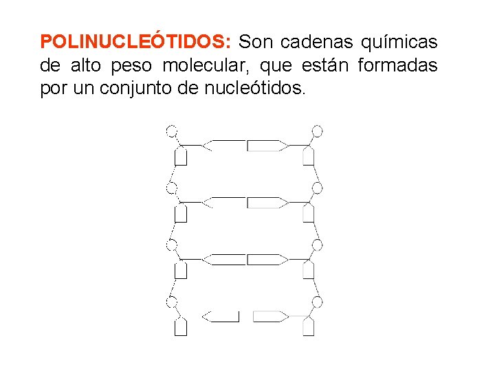 POLINUCLEÓTIDOS: Son cadenas químicas de alto peso molecular, que están formadas por un conjunto