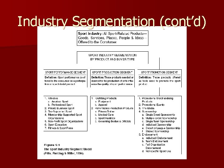 Industry Segmentation (cont’d) 