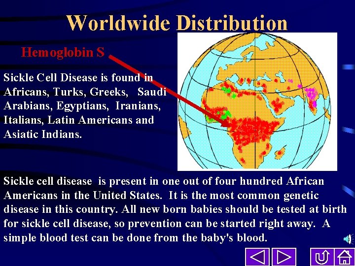 Worldwide Distribution Hemoglobin S Sickle Cell Disease is found in Africans, Turks, Greeks, Saudi