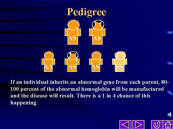 Pedigree AA AS AS SS If an individual inherits an abnormal gene from each