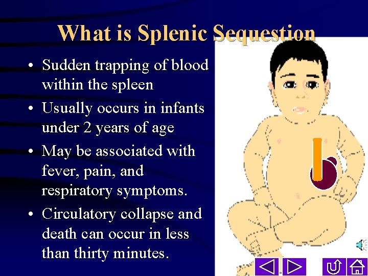 What is Splenic Sequestion • Sudden trapping of blood within the spleen • Usually