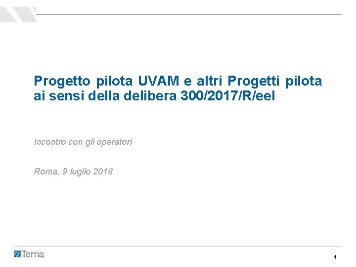 Progetto pilota UVAM e altri Progetti pilota ai sensi della delibera 300/2017/R/eel Incontro con Progetto pilota UVAM e altri Progetti pilota ai sensi della delibera 300/2017/R/eel Incontro con