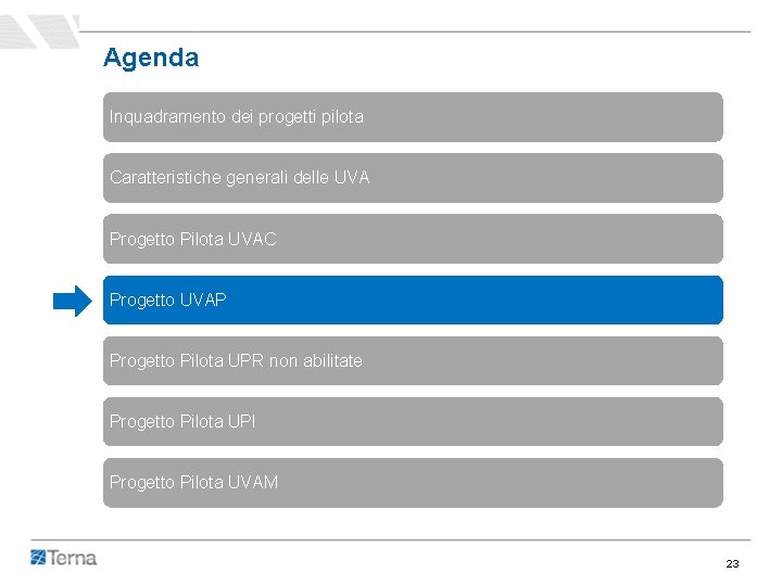 Agenda Inquadramento dei progetti pilota Caratteristiche generali delle UVA Progetto Pilota UVAC Progetto UVAP Agenda Inquadramento dei progetti pilota Caratteristiche generali delle UVA Progetto Pilota UVAC Progetto UVAP