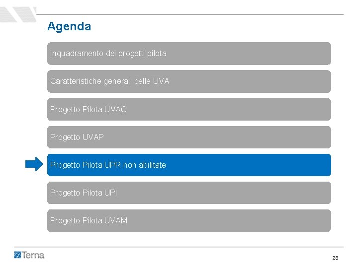 Agenda Inquadramento dei progetti pilota Caratteristiche generali delle UVA Progetto Pilota UVAC Progetto UVAP Agenda Inquadramento dei progetti pilota Caratteristiche generali delle UVA Progetto Pilota UVAC Progetto UVAP