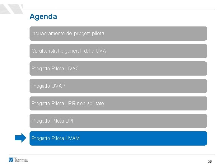 Agenda Inquadramento dei progetti pilota Caratteristiche generali delle UVA Progetto Pilota UVAC Progetto UVAP Agenda Inquadramento dei progetti pilota Caratteristiche generali delle UVA Progetto Pilota UVAC Progetto UVAP