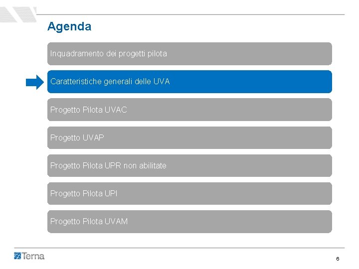 Agenda Inquadramento dei progetti pilota Caratteristiche generali delle UVA Progetto Pilota UVAC Progetto UVAP Agenda Inquadramento dei progetti pilota Caratteristiche generali delle UVA Progetto Pilota UVAC Progetto UVAP