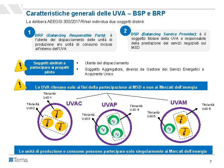 Caratteristiche generali delle UVA – BSP e BRP La delibera AEEGSI 300/2017/R/eel individua due Caratteristiche generali delle UVA – BSP e BRP La delibera AEEGSI 300/2017/R/eel individua due