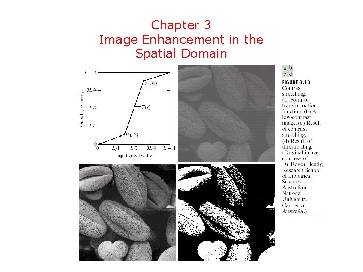 Chapter 3 Image Enhancement in the Spatial Domain 