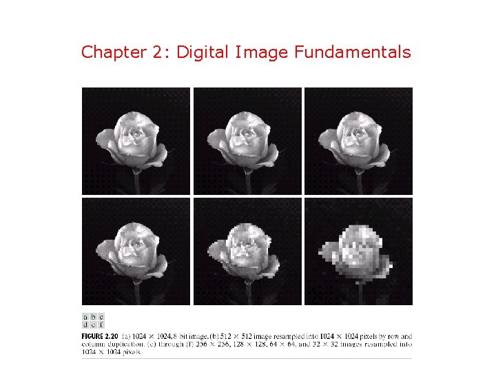 Chapter 2: Digital Image Fundamentals 