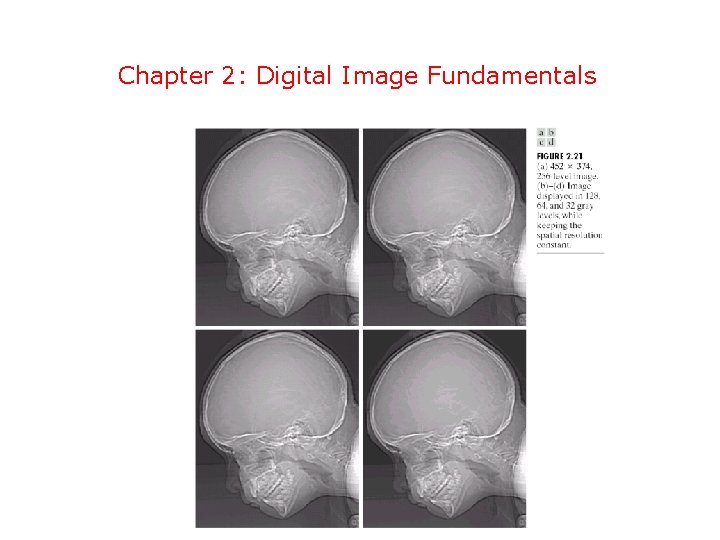 Chapter 2: Digital Image Fundamentals 