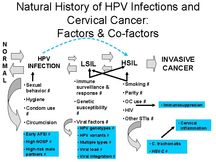 Natural History of HPV Infections and Cervical Cancer: Factors & Co-factors N O R Natural History of HPV Infections and Cervical Cancer: Factors & Co-factors N O R