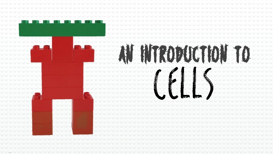 An Introduction to CELLS An Introduction to Cells 