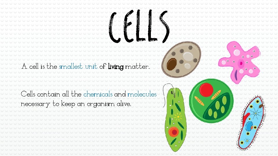 CELLS A cell is the smallest unit of living matter. Cells contain all the