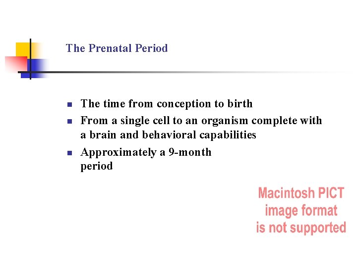 The Prenatal Period n n n The time from conception to birth From a