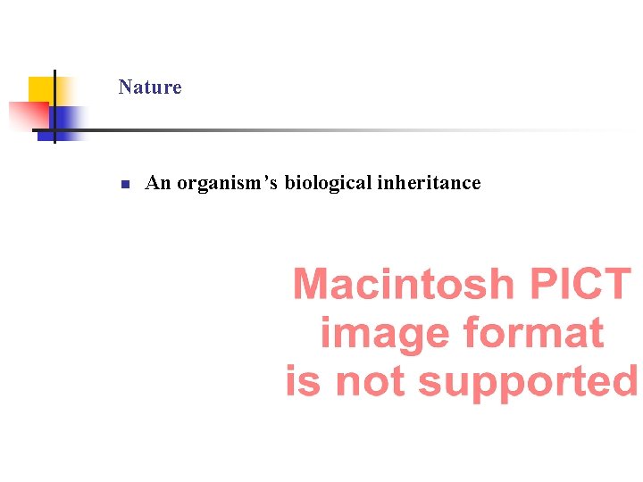 Nature n An organism’s biological inheritance 
