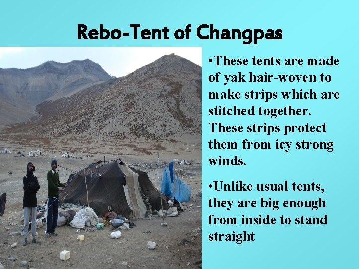 Rebo-Tent of Changpas • These tents are made of yak hair-woven to make strips