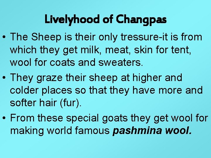 Livelyhood of Changpas • The Sheep is their only tressure-it is from which they