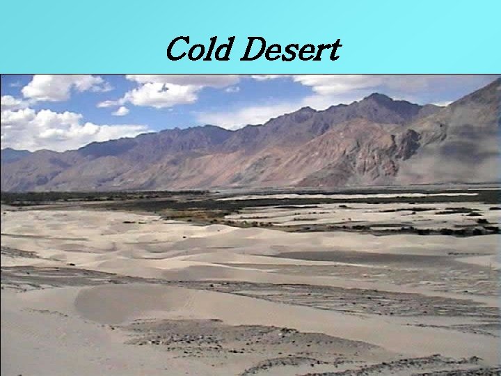 Cold Desert 