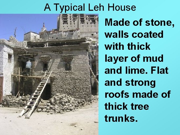 A Typical Leh House Made of stone, walls coated with thick layer of mud