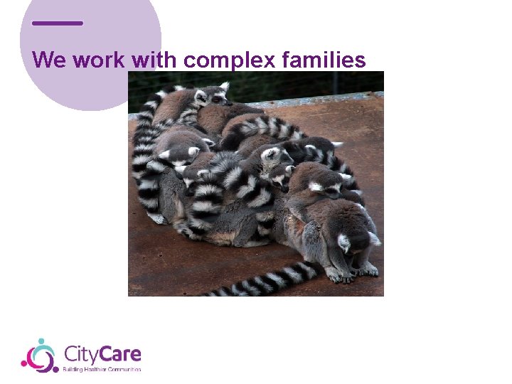 We work with complex families 