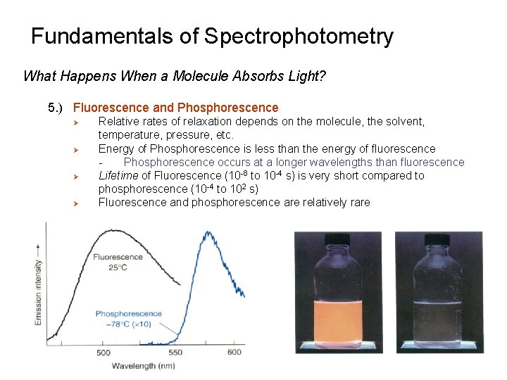 Fundamentals of Spectrophotometry What Happens When a Molecule Absorbs Light? 5. ) Fluorescence and Fundamentals of Spectrophotometry What Happens When a Molecule Absorbs Light? 5. ) Fluorescence and