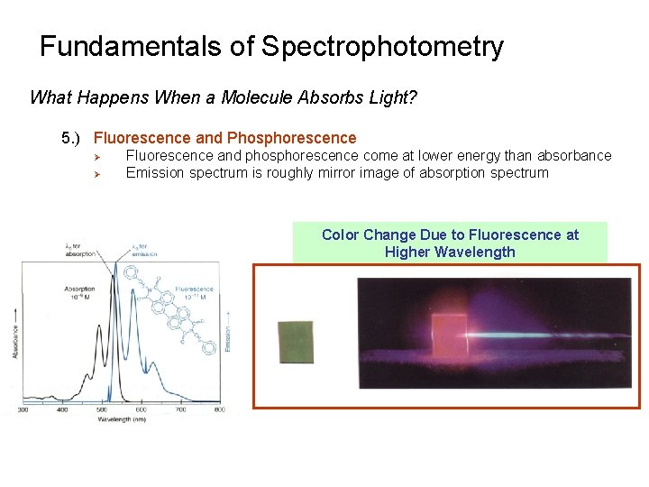 Fundamentals of Spectrophotometry What Happens When a Molecule Absorbs Light? 5. ) Fluorescence and Fundamentals of Spectrophotometry What Happens When a Molecule Absorbs Light? 5. ) Fluorescence and