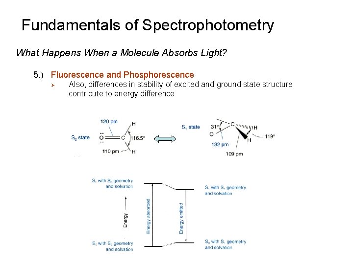 Fundamentals of Spectrophotometry What Happens When a Molecule Absorbs Light? 5. ) Fluorescence and Fundamentals of Spectrophotometry What Happens When a Molecule Absorbs Light? 5. ) Fluorescence and