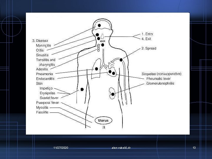 11/27/2020 alen vukelić, dr 13 