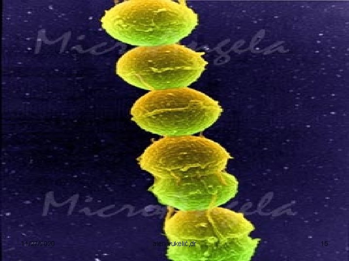 11/27/2020 alen vukelić, dr 15 