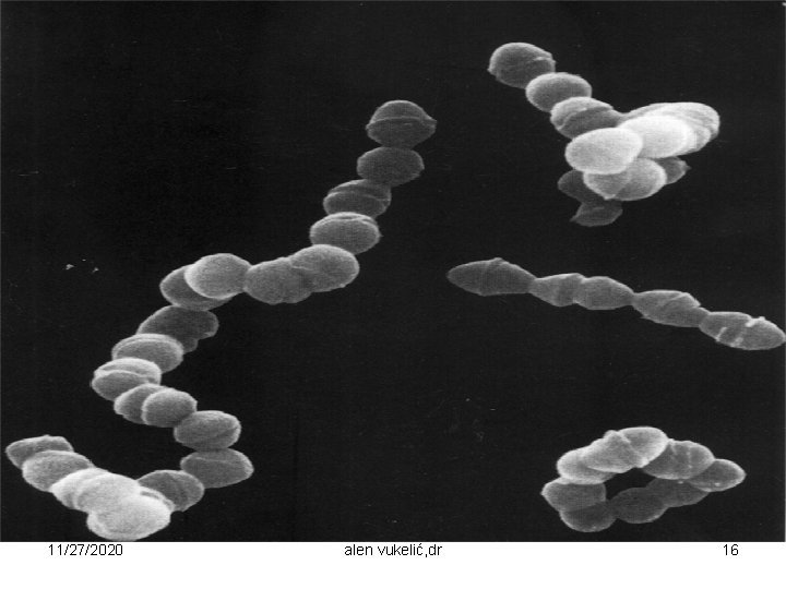 11/27/2020 alen vukelić, dr 16 