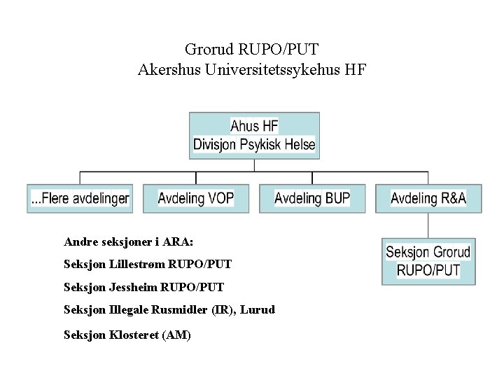 Grorud RUPO/PUT Akershus Universitetssykehus HF Andre seksjoner i ARA: Seksjon Lillestrøm RUPO/PUT Seksjon Jessheim