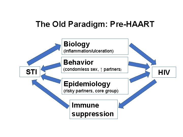 The Old Paradigm: Pre-HAART Biology (inflammation/ulceration) Behavior STI (condomless sex, ↑ partners) Epidemiology (risky